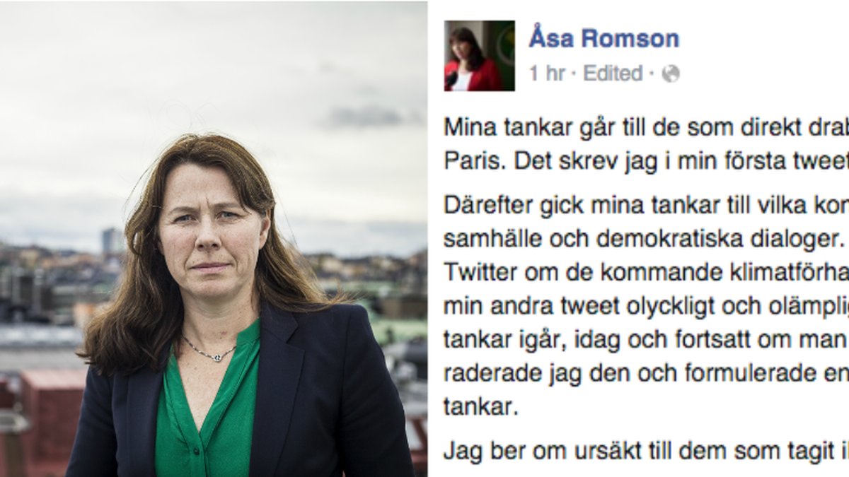 Åsa Romson ber om ursäkt. 
