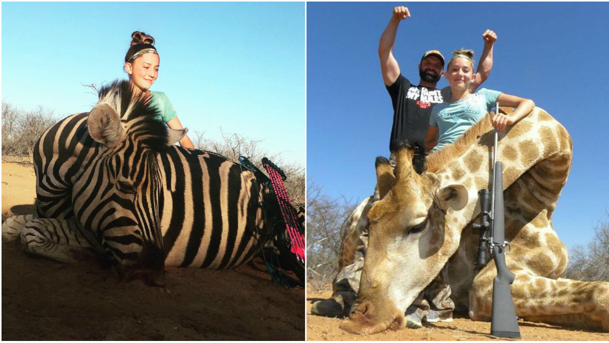Aryanna och hennes pappa Eli var i Sydafrika och jagade vilda djur. 