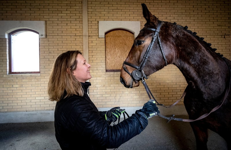 Annika Fjelkner Pihl är nöjd efter uppvisningen – Foxfire skötte sig.