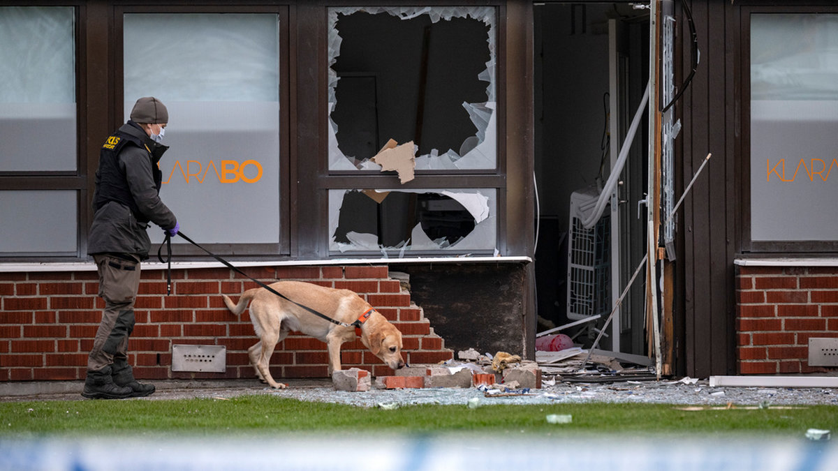 Polis arbetar med specialsökhund efter en explosion vid ett kontor i ett bostadsområde i Trelleborg i mitten av april. Arkivbild.