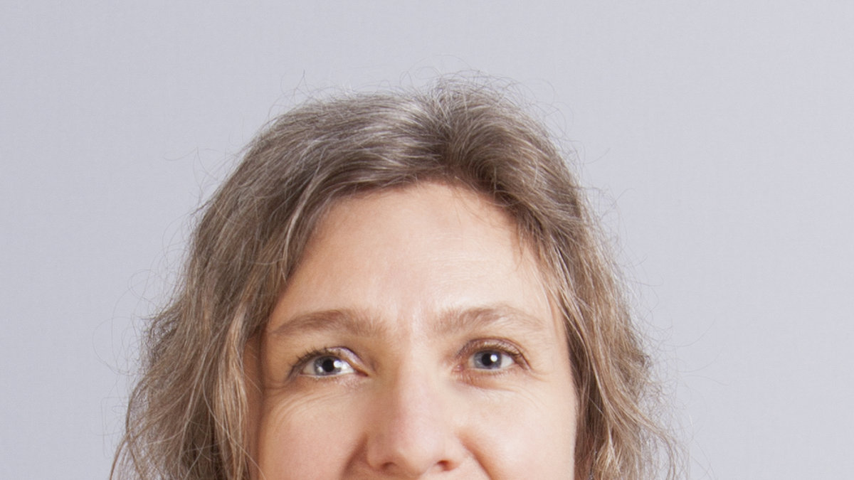 Karin Ploen, Ledamot i Feministiskt initiativs skuggriksdagsgrupp