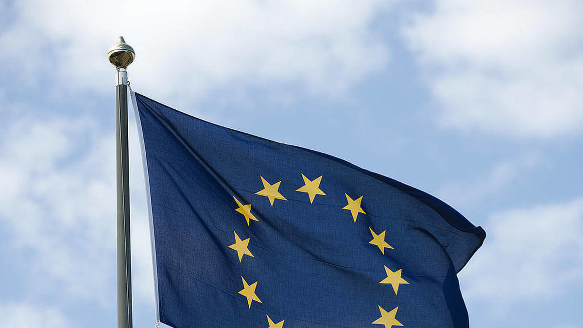 EU:s flagga. Sverige har varit med i EU i 23 år. 