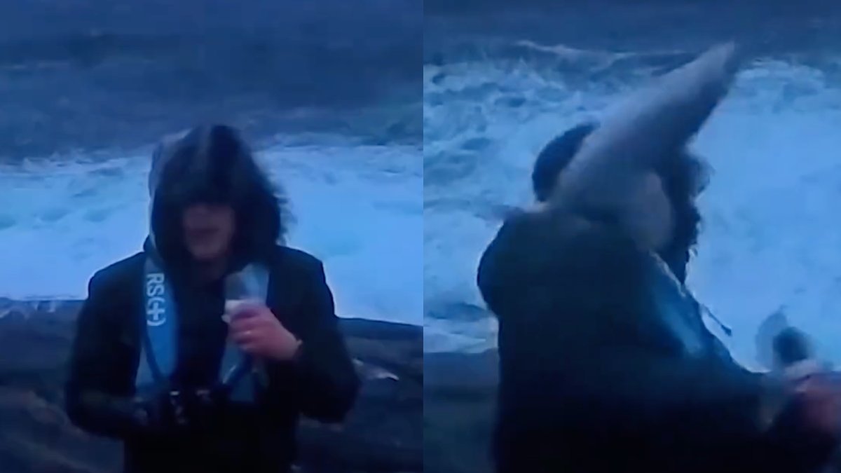 En video som visar en norsk "väderreporter" som får en fisk i huvudet har blivit viral över hela världen. 