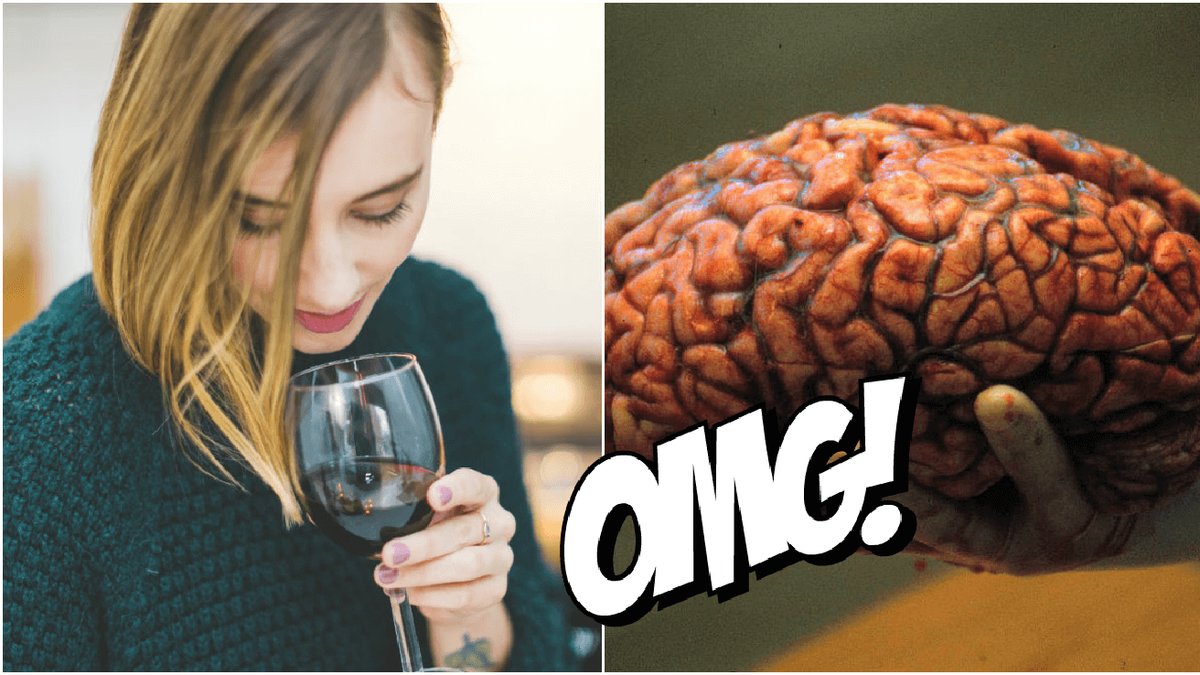 Kvinna med vinglas samt en hjärna.