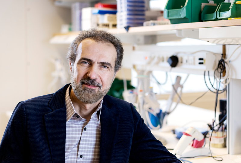 Ali Harandi leder ett laboratorium för vaccinforskning med omkring åtta medlemmar vid Göteborgs universitet.