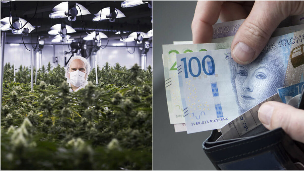 Idag öppnar Torontobörsen upp för att investera i cannabis.