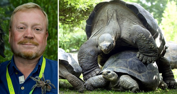 Tecknade människor har sex