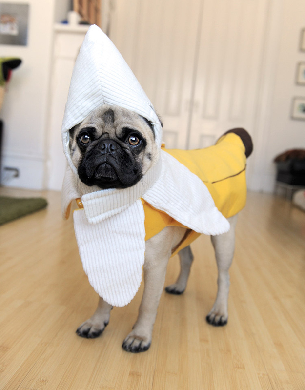 Som en banan. Som en banan.