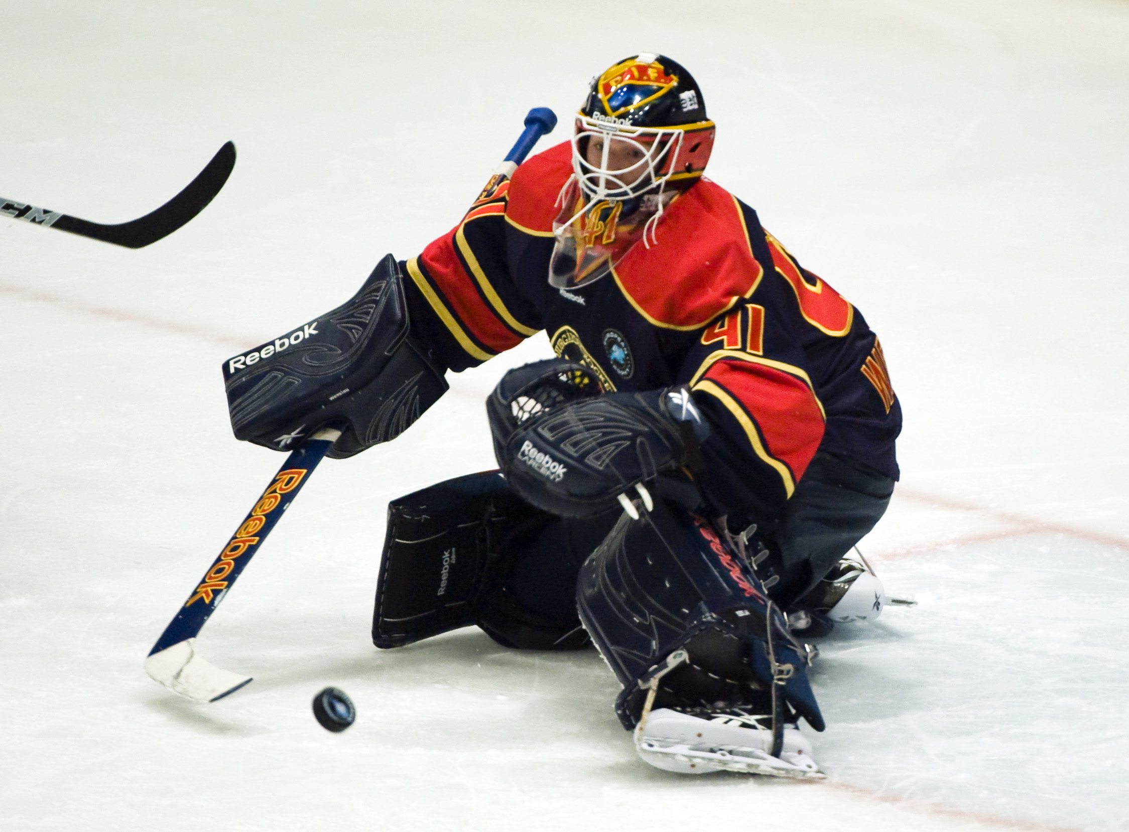 Gustaf Wesslau har återvänt till Stockholm och Djurgården efter ett misslyckat NHL-äventyr.