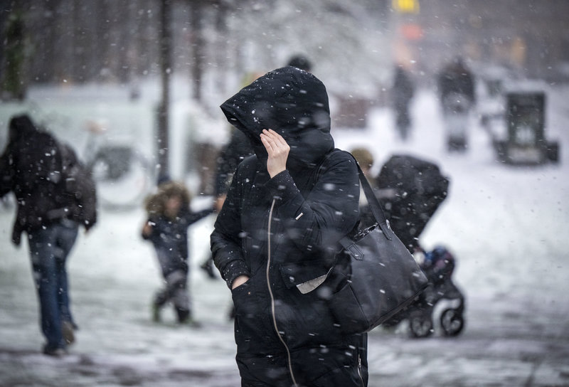 Håll i hatten. Det blir både snö och vind. Foto: Johan Nilsson / TT