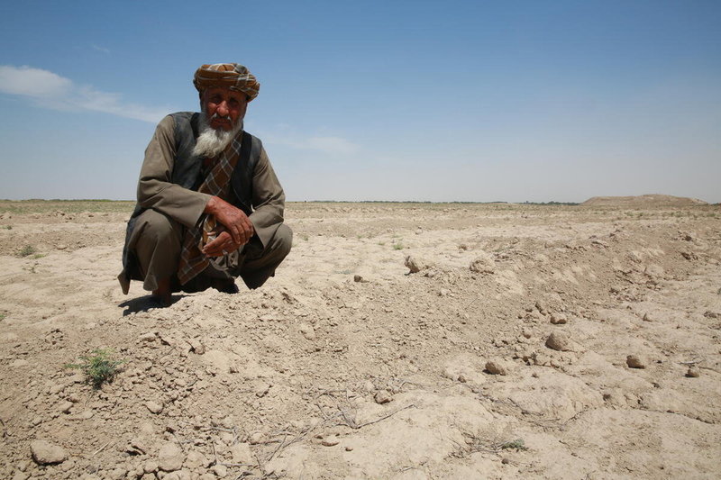 Sohail, inspekterar sin familjs mark som blivit ödelagt efter torkan i provinsen Balkh i norra Afghanistan.