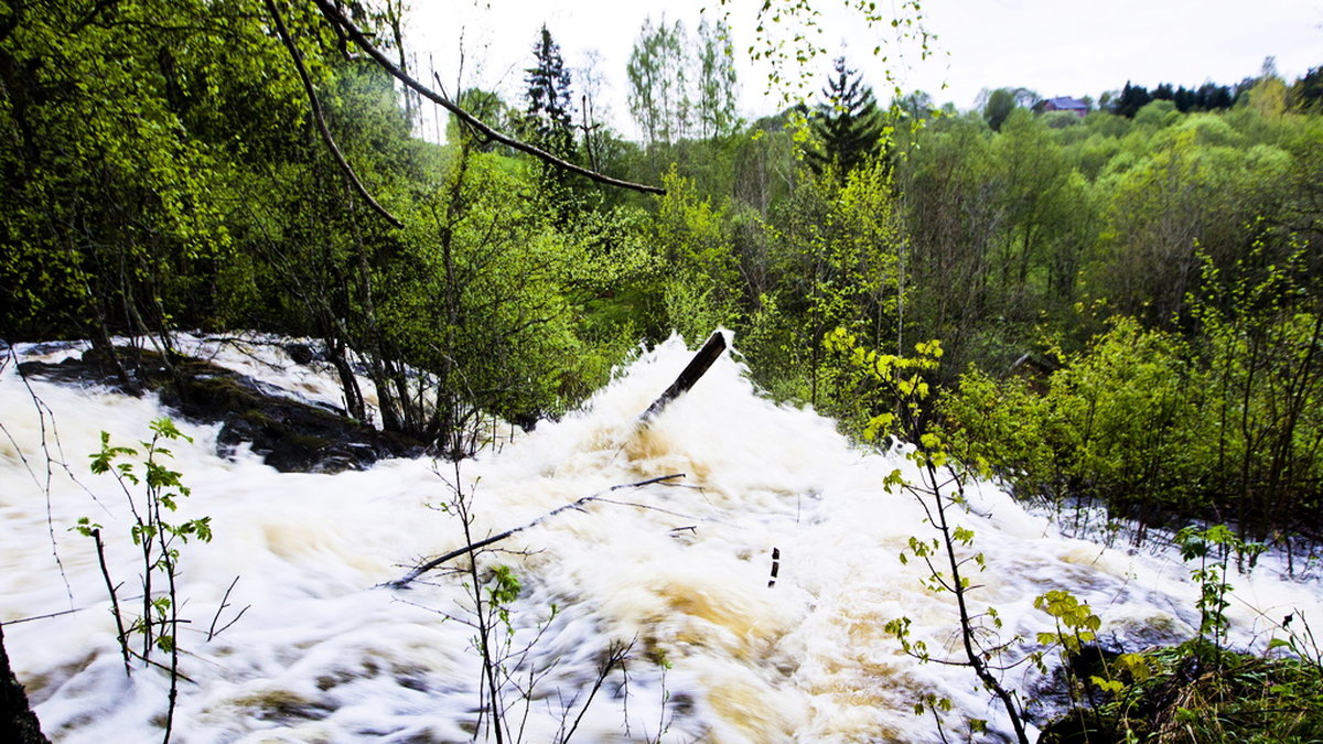 Elpriserna fördubblas – så dyrt blir det
