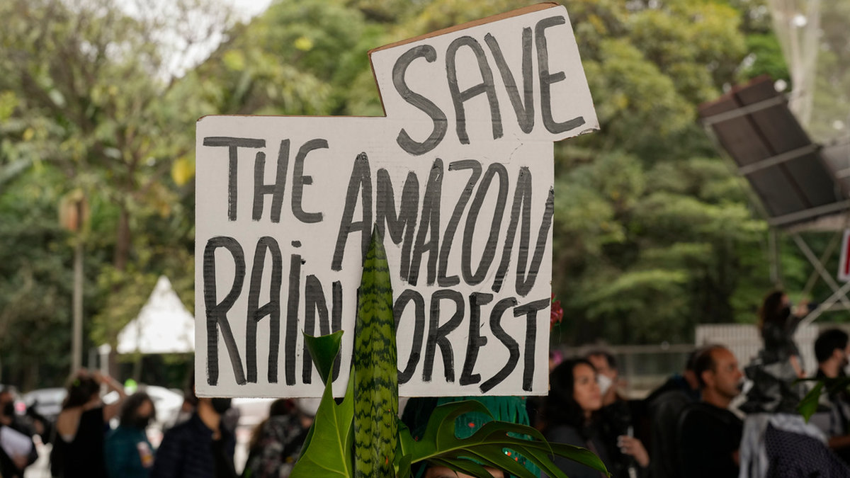 'Rädda Amazonas regnskog' står det på ett plakat som en aktivist håller upp under en protest i Sao Paolo i juni 2022.
