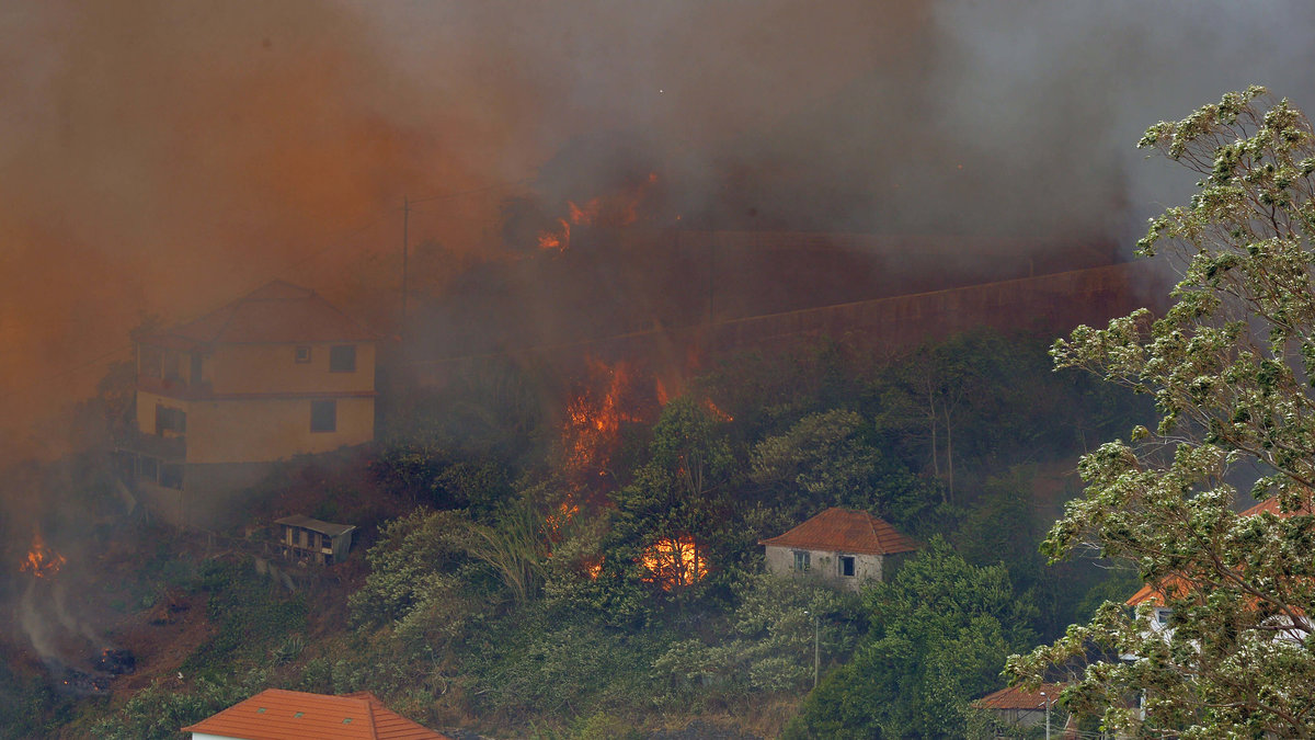 Bränderna härjar i Funchal. 