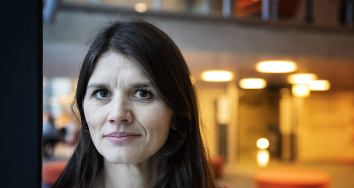 Morgan Johansson, TT, Politik, Jul, Sverigedemokraterna