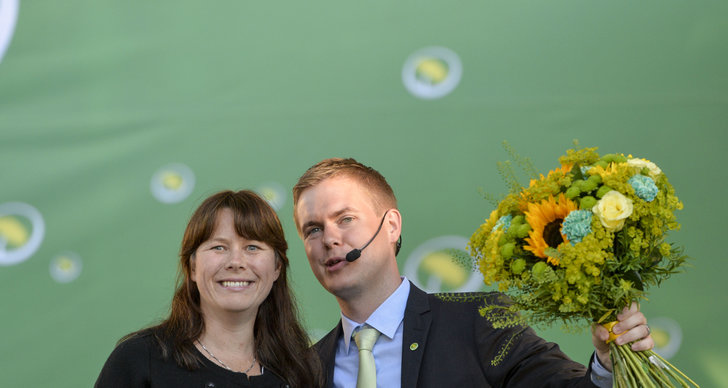 Åsa Romson, Gustav Fridolin, Miljöpartiet, Jimmie Åkesson, Karin Svensson-Smith, Centerpartiet