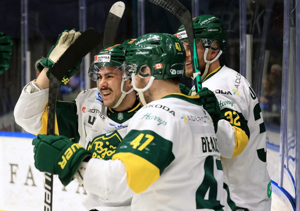 Ska Björklöven slutligen få jubla? Harald Lückner tror att Umeålaget blir en av utmanarna till favoriten Brynäs i hockeyallsvenskan. Arkivbild.