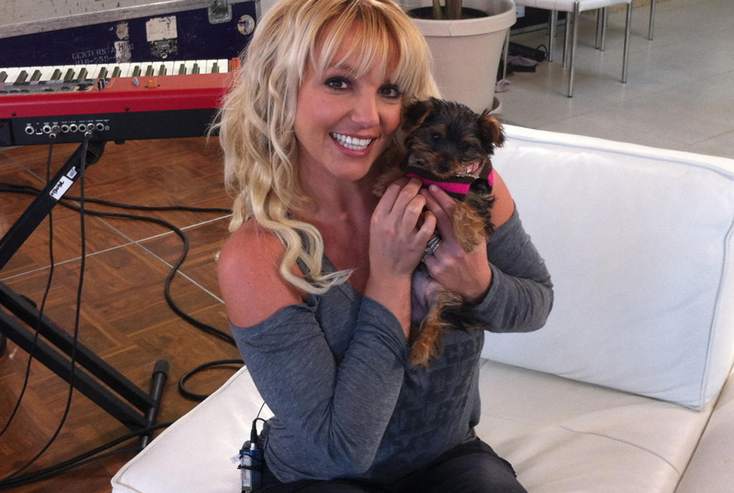Britney Spearrs har inte bara ett bländande leende – hon har även en gosig hund. 