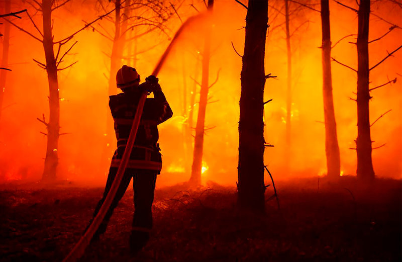 Skogsbränderna i Frankrike fortsätter rasa. Omkring 20 000 hektar har hittills brunnit ner.