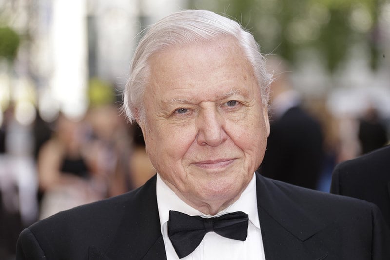 David Attenborough David Attenborough