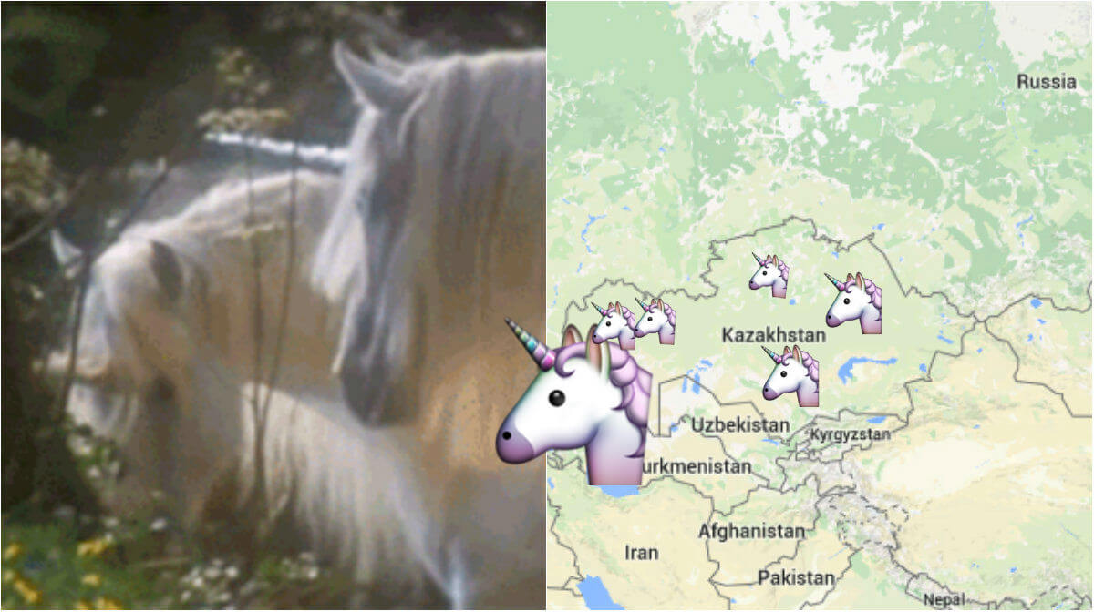 Forskare har hittat spår från den sibiriska enhörningen.