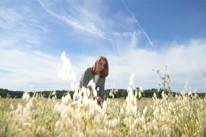 Annie Lööf ute på fältet. Ännu är det ett tag innan majsådden är redo att skördas.