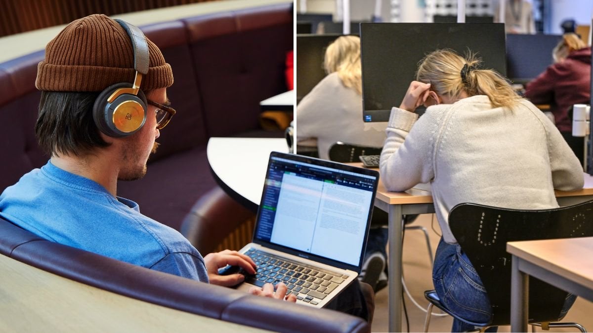 Rektorn avslöjar: Så upptäcks fusket på universitetet