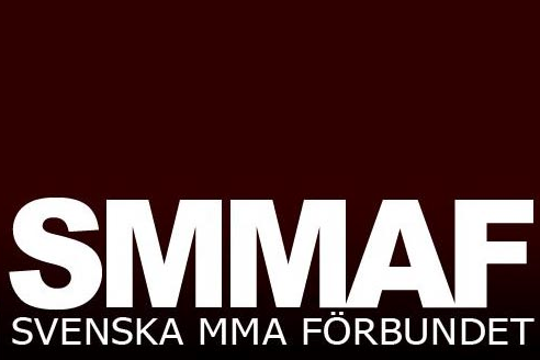 tillstånd, MMA, amatör, August Wallén, Kampsport