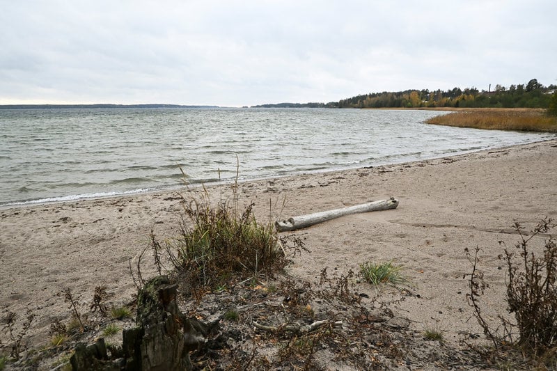 Stranden vid Östersjöviken Tvären kallas skämtsamt för "Atomic beach", på grund av närheten till  Studsvik, där Sveriges atomforskning länge bedrevs.