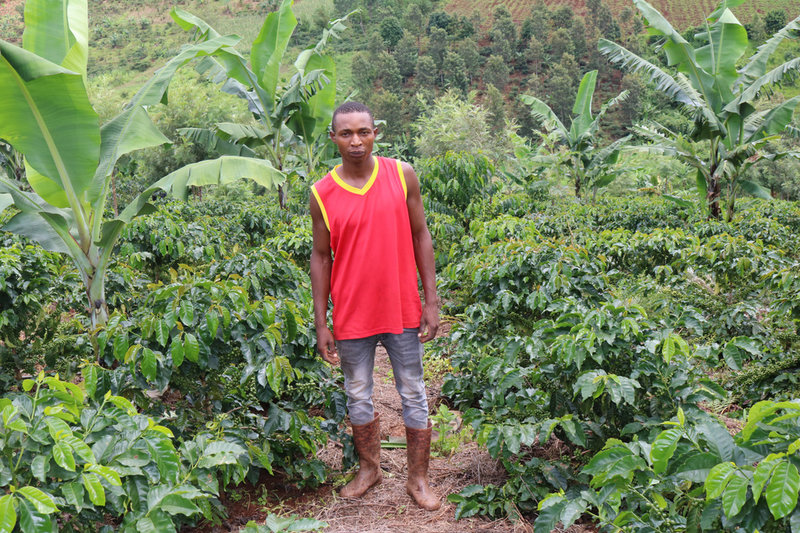 Kaffebonden Ferdinand Ndunguru i Kimuli tjänar mer pengar med de nya plantorna och odlingsmetoderna.