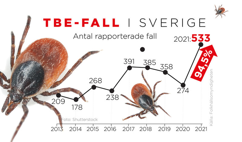 Kurva som visar rapporterade TBE-fall från 2013–2021.