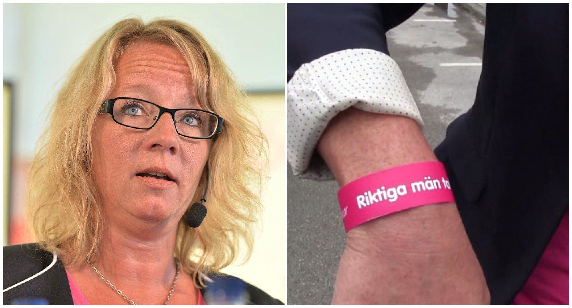 Carina Herrstedt, Armband, Sverigedemokraterna