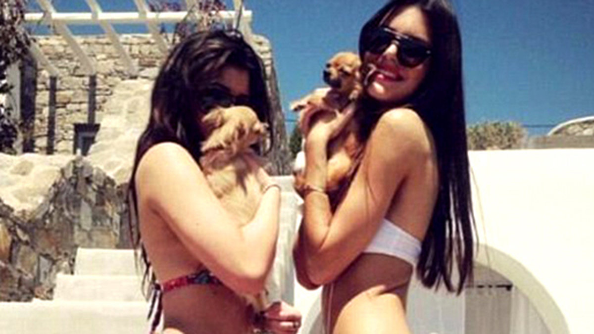 Kendall Jenner gosar med en hund.