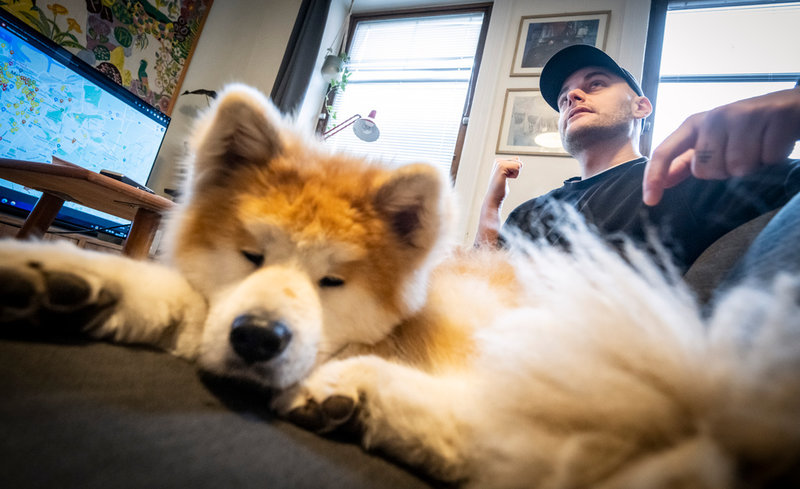 Niklas Krigs hund Mico är helt ointresserad av att äta det han hittar under promenader, men många andra slukar allt de kommer över.