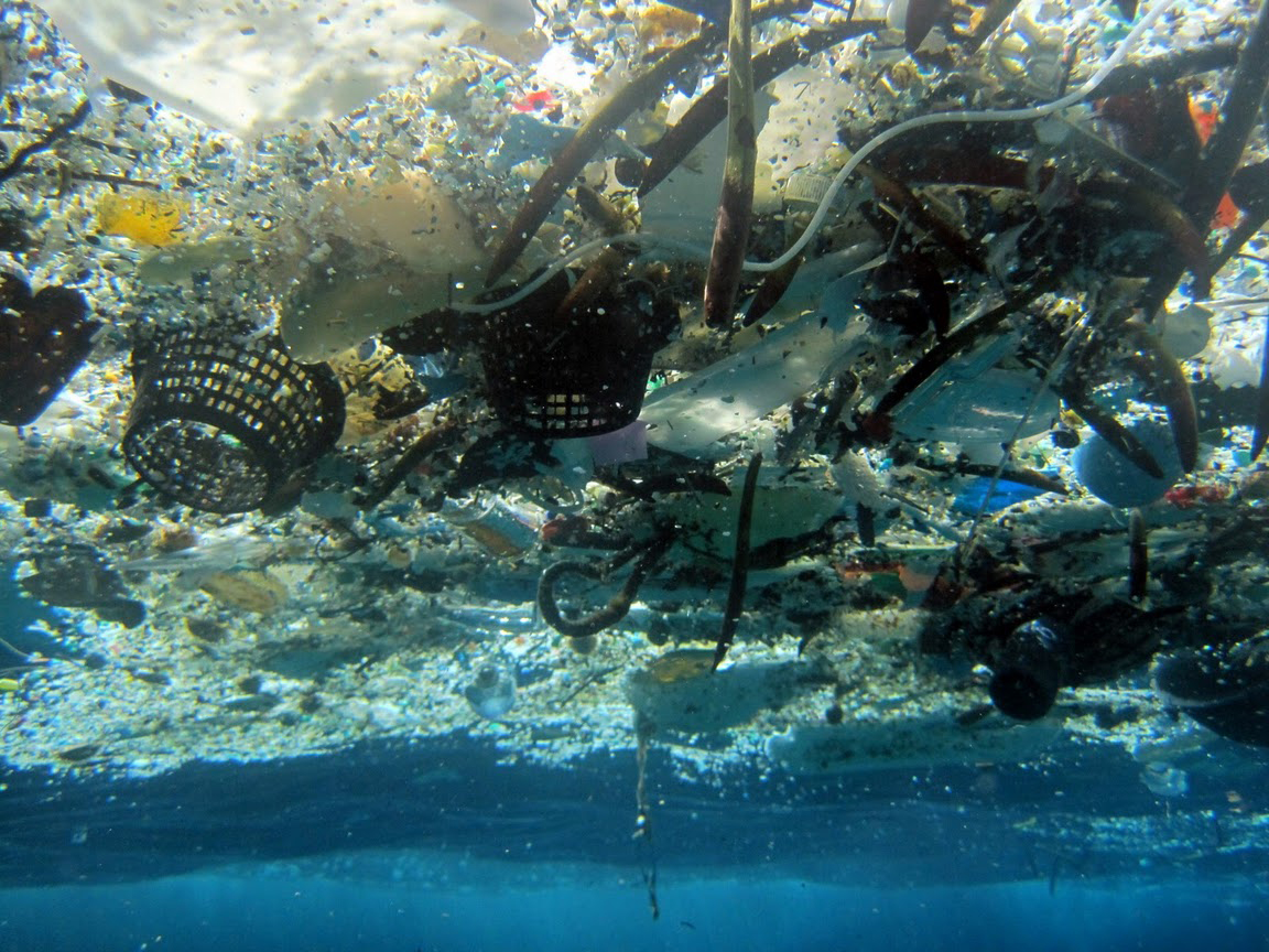 Enorma mängder plast flyter omkring i världshaven.