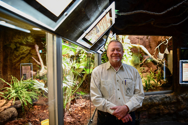 Jonas Wahlström, chef på Skansen-Akvariet under presstillfället då kungskobran Sir Vääs fick återvända till sitt terrarium efter att ha varit på rymmen i nästan en vecka.