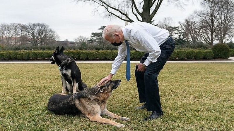 Biden med Major och Champ. Biden med Major och Champ.