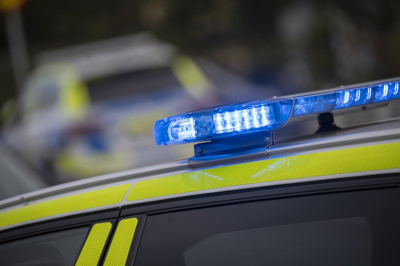 Foto: Johan Nilsson/TT