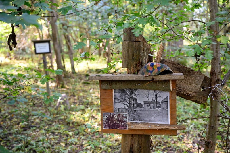 Invånarna i den lilla byn Jahrsau tvångsförflyttades för att byn låg för nära gränsen. I dag har naturen tagit över i ruinerna.