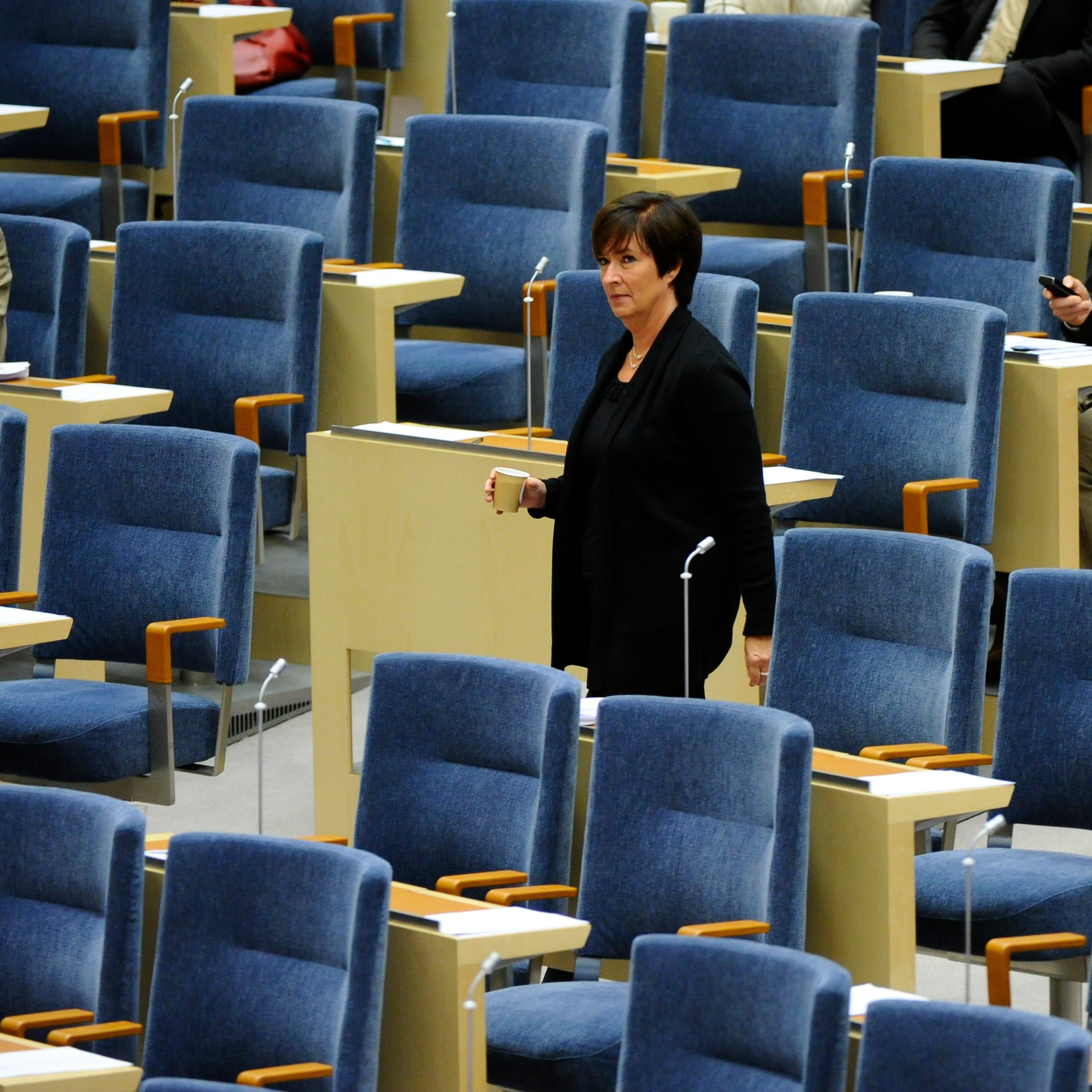 Ibrahim Baylan, Riksdagsvalet 2010, Socialdemokraterna, Mona Sahlin, Oppositionen, Rödgröna regeringen, Avgå