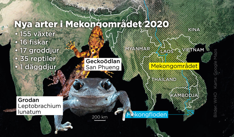 Webbkarta över Mekongområdet.