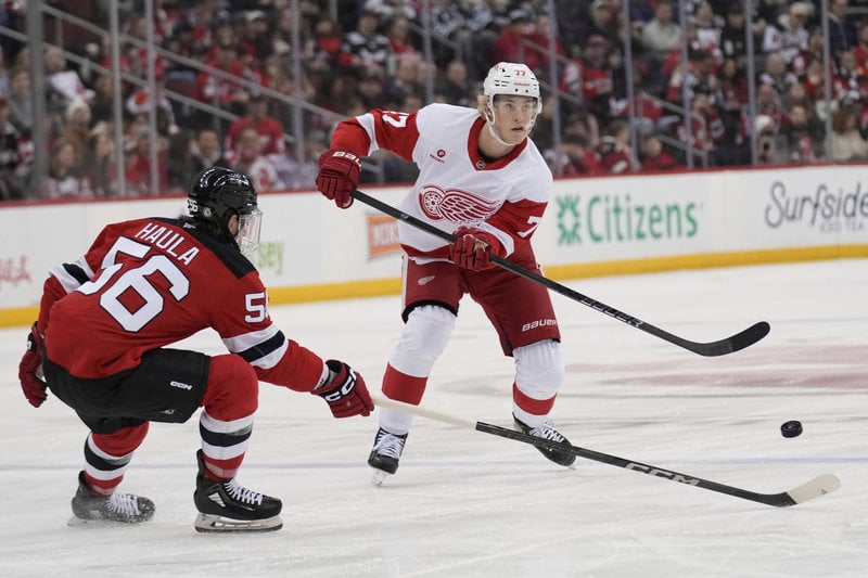 Simon Edvinsson spelar i NHL-laget Detroit Red Wings. Foto: Seth Wenig/TT