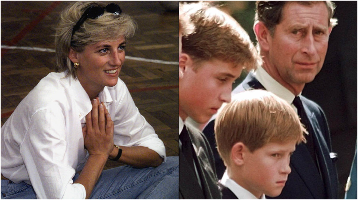 Prins Harry, Prinsessan Diana, Prins William, Brittiska kungahuset