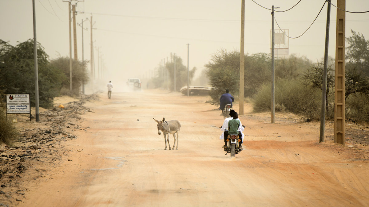 110 civila har kidnappats i Mali av vad som misstänks vara jihadister. Arkivbild.