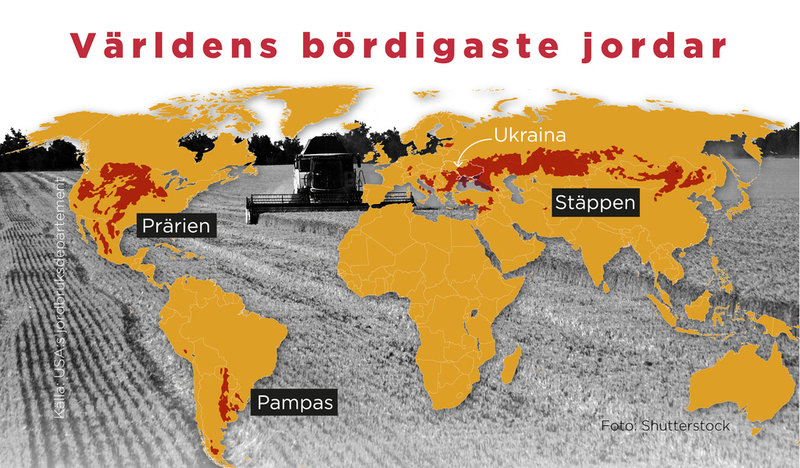 Här finns världens bördigaste jordar. Stäpp, prärie och pampas. Nästan hela Ukraina ligger i ett av de bördigaste områdena med lössjordar på jordklotet.