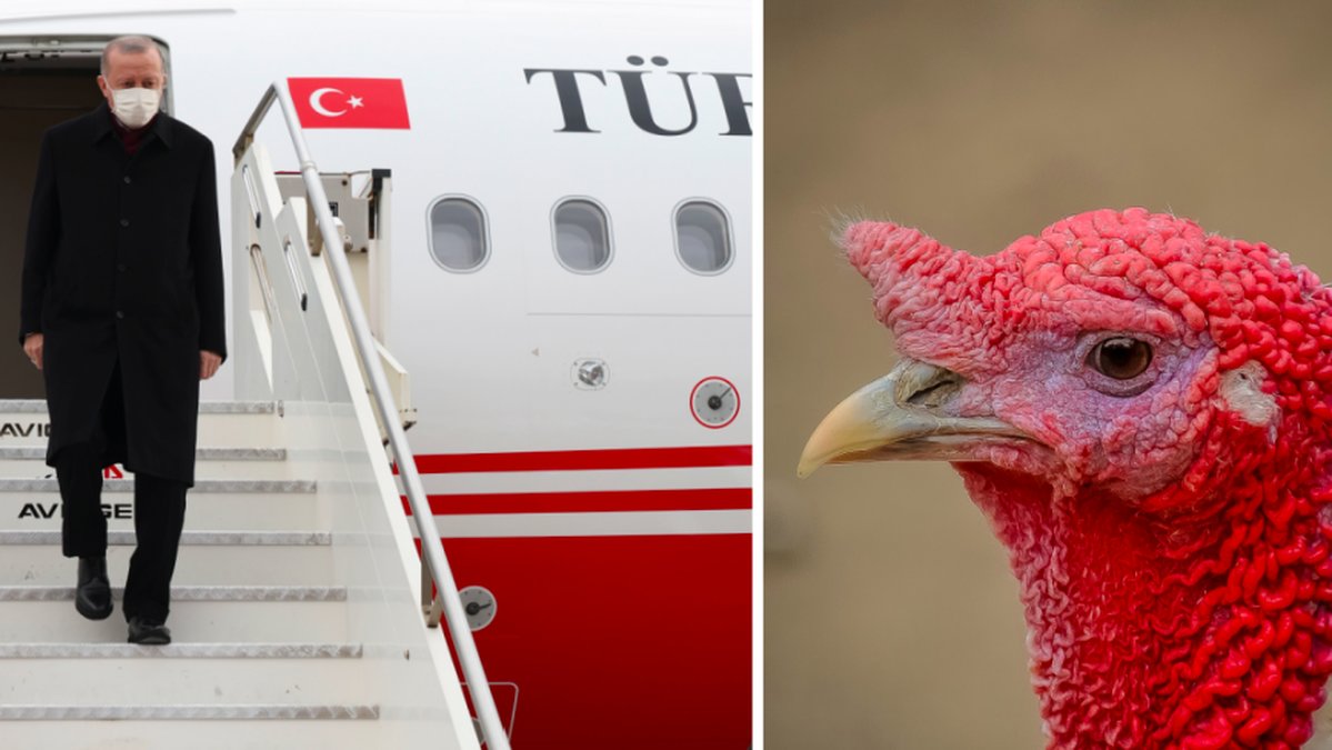 Turkiet byter namn – landet vill inte förknippas med kalkon