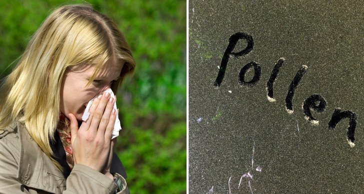 Allergi, Pollenallergi, Våren