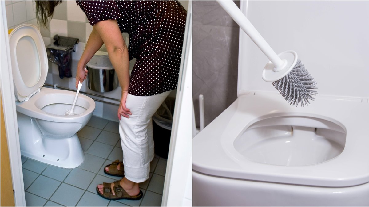 Att byta toalettborsten för ofta är inte att rekommendera, av flera orsaker.