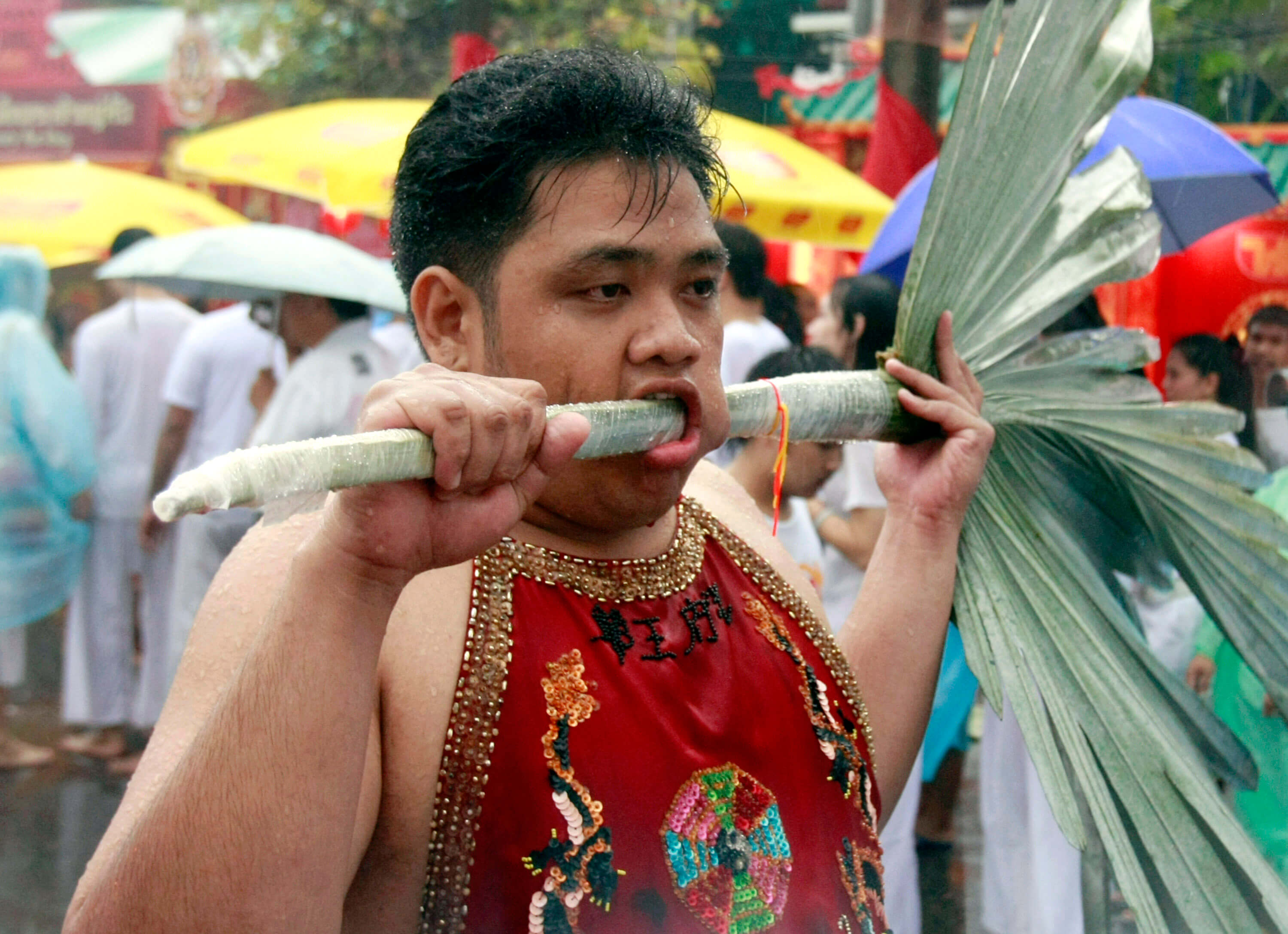 När den här personen stack ett palmblad, som ser ut som en purjolök, genom kinden på Thailands årliga Vegetarian Festival. Om han är vegetarian är dock lite oklart. När den här personen stack ett palmblad, som ser ut som en purjolök, genom kinden på Thailands årliga Vegetarian Festival. Om han är vegetarian är dock lite oklart.