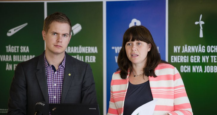 Miljöpartiet, Gustav Fridolin, EU-valet, Rasism, Debatt, Sverigedemokraterna